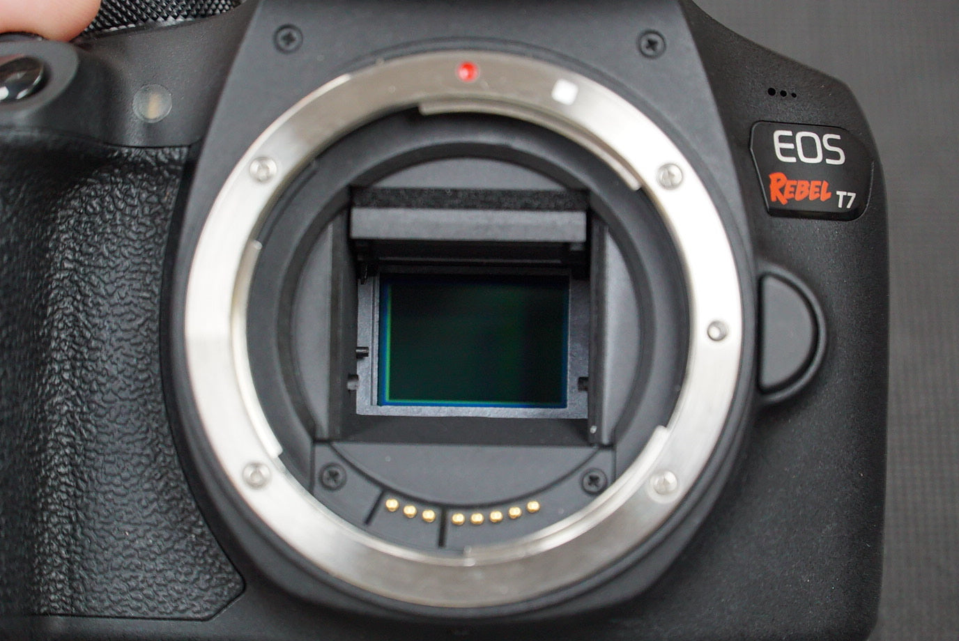 Canon EOSREBELT7/DUALLENS/33681 Rebel T7, EF-S 18-55mm f/4-5.6 IS STM + EF 75-300mm f/4-5.6 III, Used