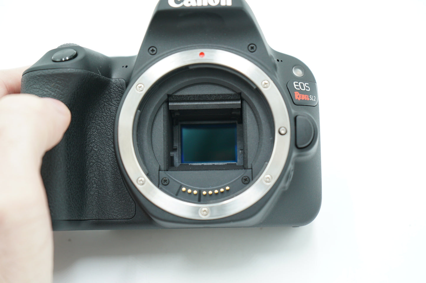 Canon EOSREBELSL2/04965 REBEL SL2 + EF-S 18-55mm + EF 50mm + EF 75-30mm, Used