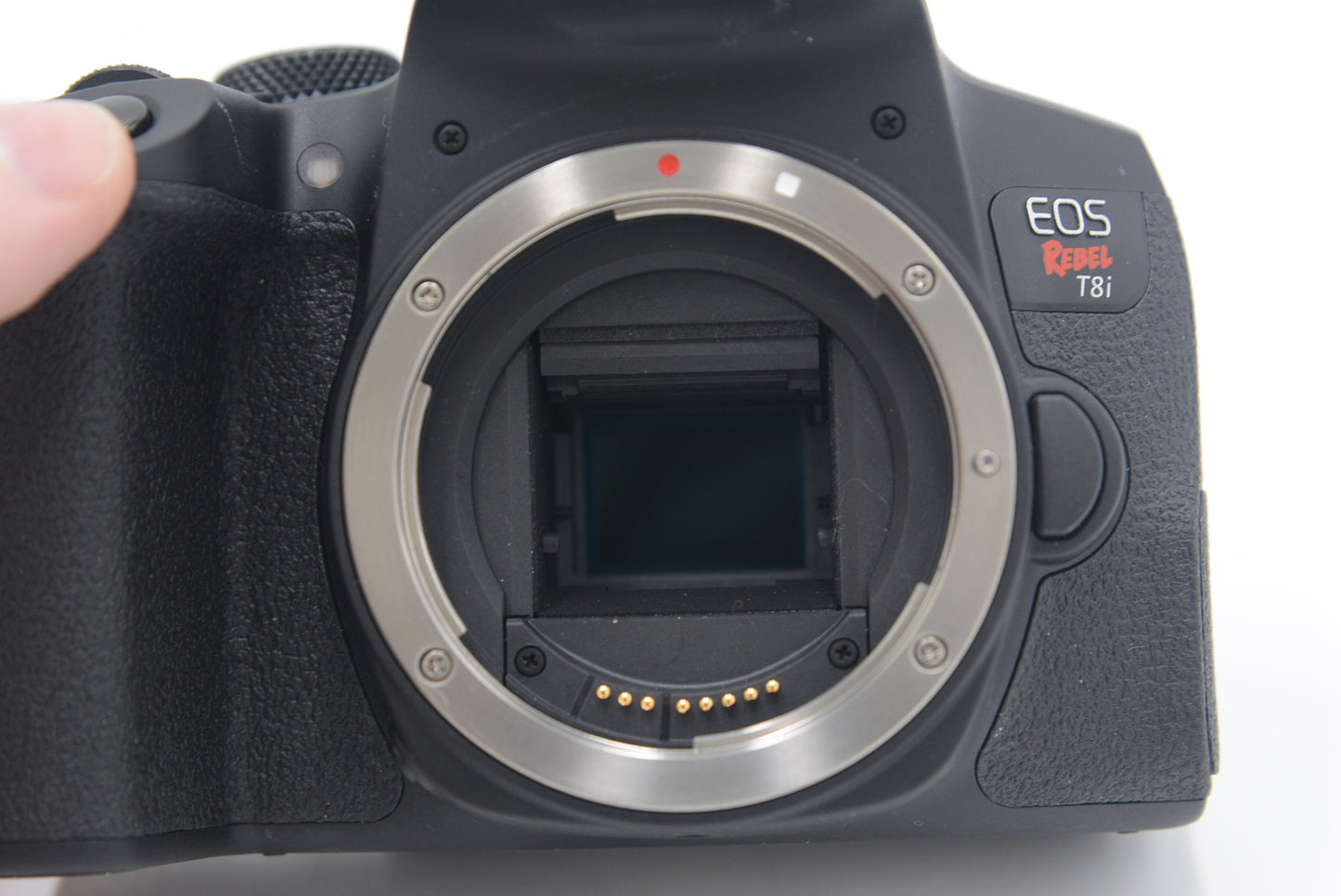 Canon EOSREBELT8i/1855/02119 Rebel T7i, EF-S 18-55mm f/4-5.6 IS STM, Used