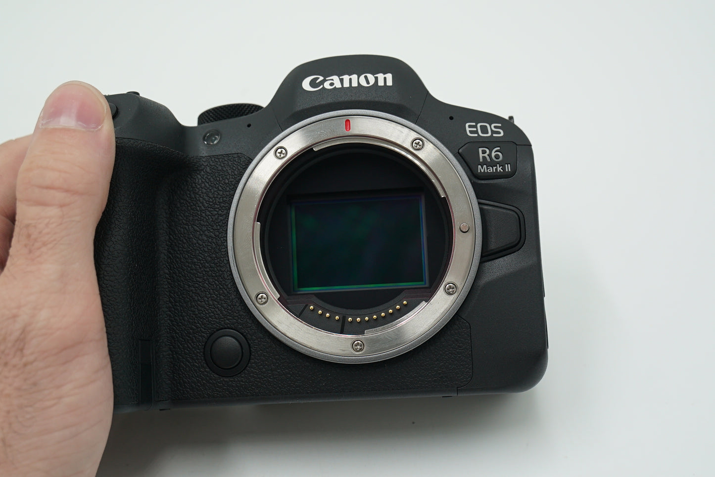 Canon EOSR6MII/24105STM/01897 EOS R6 Mark II, RF 24-105mm f/4-7.1 IS STM, Used