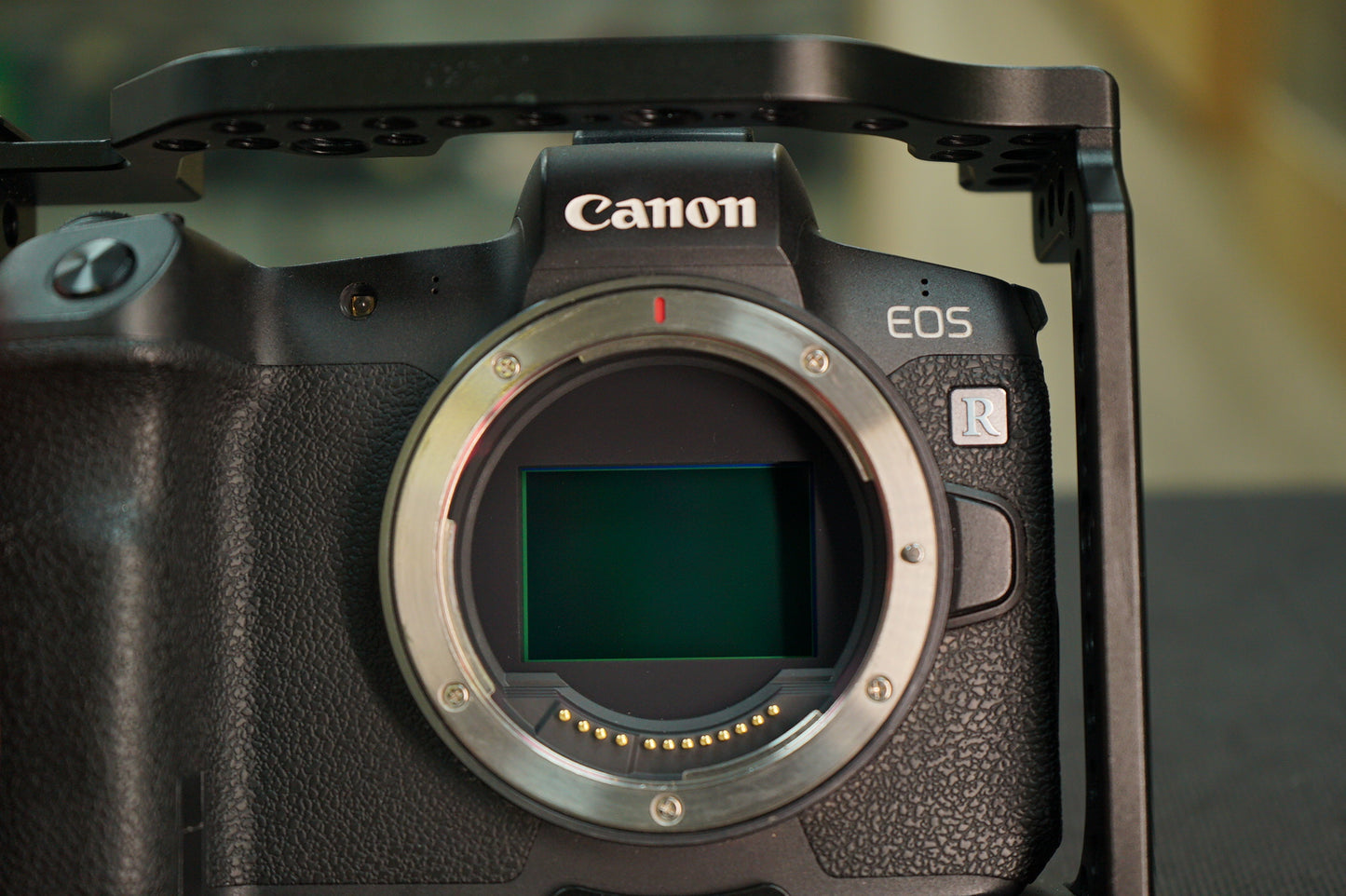 Canon EOSRBODY/03033 EOS R, Body Only, Used