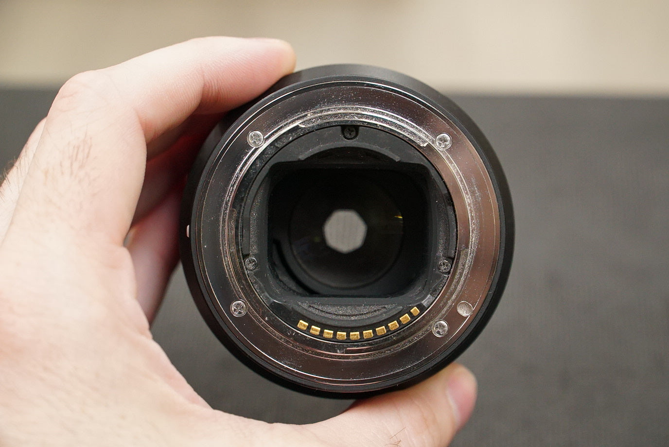 Sony SEL50F18F/1926543 FE 50mm f/1.8 Lens, Used