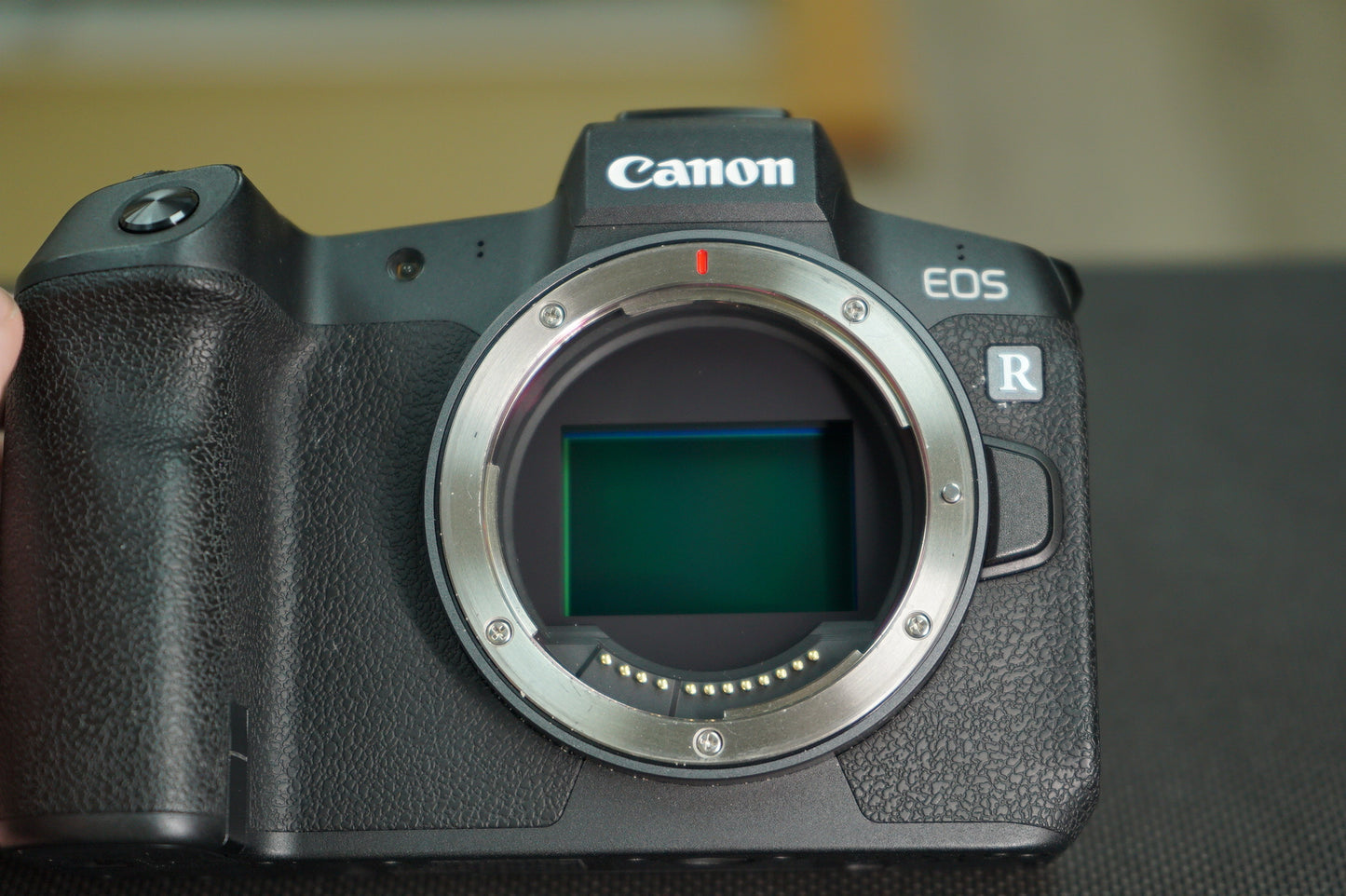 Canon EOSRBODY/01570 EOS R, Body Only, Used