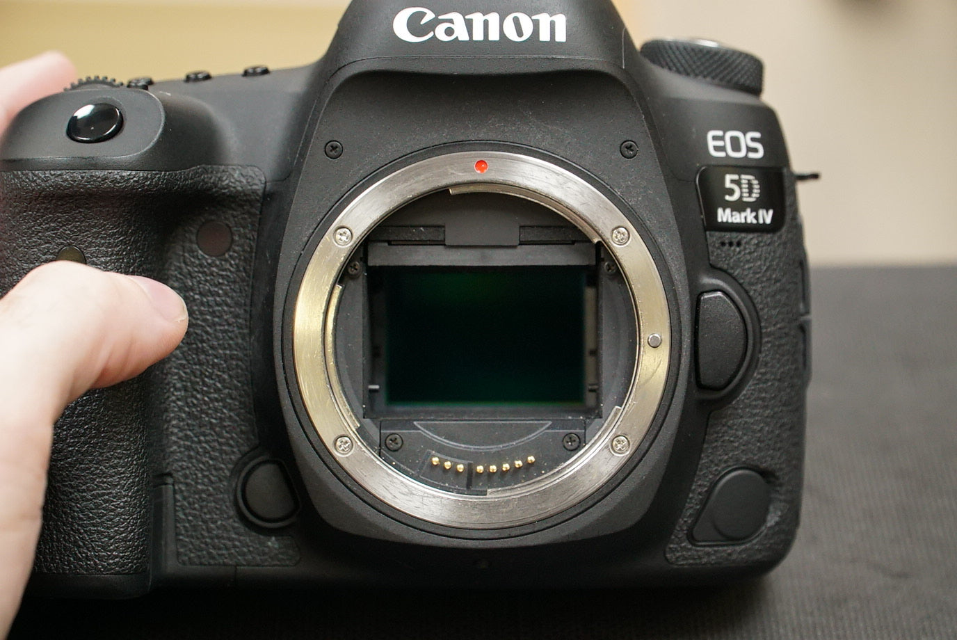 Canon EOS5DMIVBODY/00015 EOS 5D Mark IV, Body Only, Used
