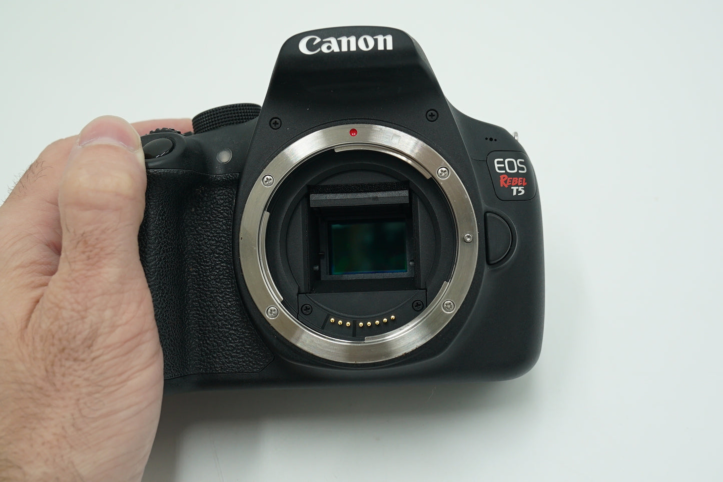Canon EOSREBELT5/DUALLENS/76502 Rebel T5, EF-S 18-55mm f/3.5-5.6 IS II + EF 75-300mm f/4-5.6 III, Used