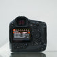 Canon EOS R1 Mirrorless Camera #00324, Used