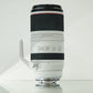 Canon RF 100-500mm f/4.5-7.1 L IS USM Lens #01125, Used