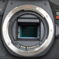 Canon EOSREBELT7/DUALLENS/33681 Rebel T7, EF-S 18-55mm f/4-5.6 IS STM + EF 75-300mm f/4-5.6 III, Used