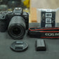 Canon EOSR6/24105STM/01417 EOS R6, RF 24-105mm f/4-7.1 IS STM, Used