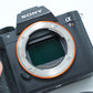 Sony A7RIII/3386174 A7R Mark III, Body Only, Used